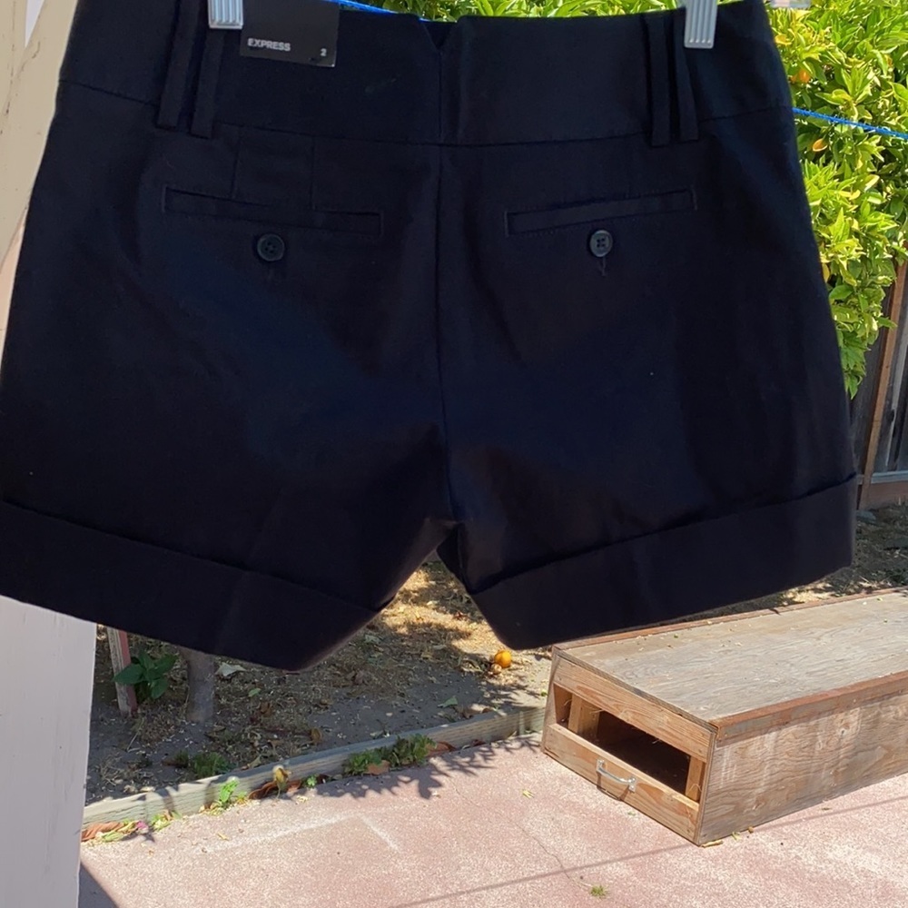Express Shorts - Picture 2 of 10